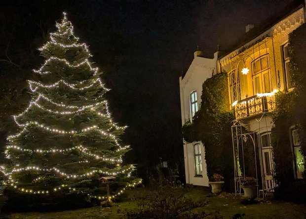 Prinzenpalais mit geschmücktem Weihnachtsbaum