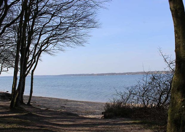 Strand Quellental mit Weg durch Wald