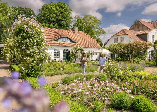 Rosenpracht im Rosarium Glücksburg