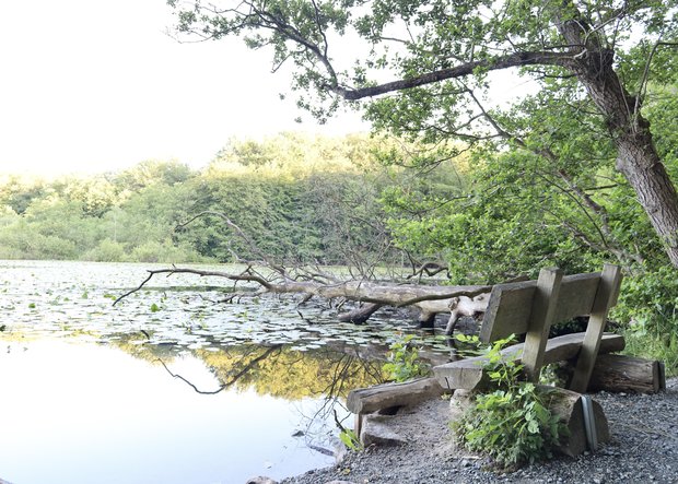 Ufer der Flensburger Förde