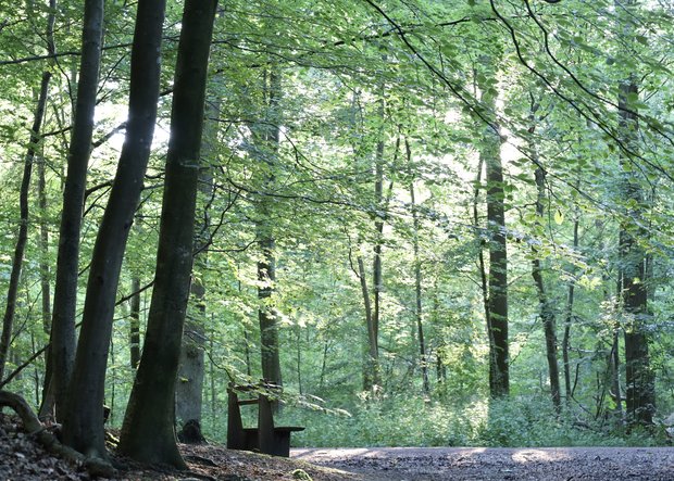 Wildgehege und Waldspielplatz